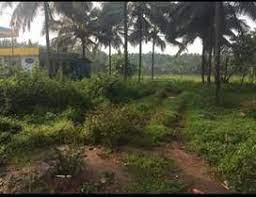 RESIDENTIAL PLOT FOR SALE AT MAYANAD, KOZHIKODE