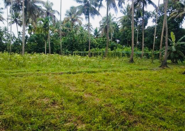 COMMERCIAL LAND FOR SALE AT CHALAPPURAM